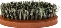 Quintus MMXV Small Vegan Beard Brush Pearwood Tampico Fibers