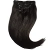 Rapunzel of Sweden Classic Clip-ins Straight / Medium Volume / 7 pieces60 cm 10.10 Platinum Blonde