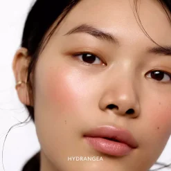Rose Inc Blush Divine Radiant Lip & Cheek Color Hibiscus