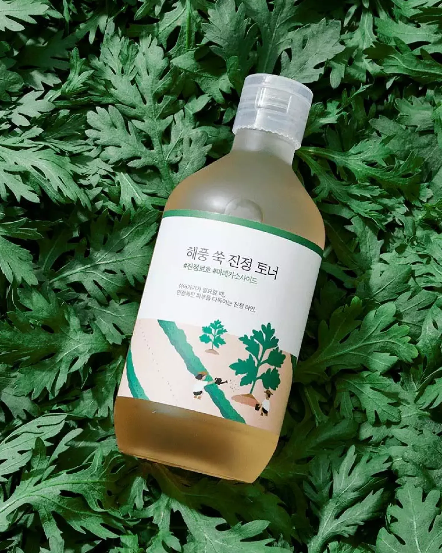 Round LabMugwort Calming Toner 300 ml