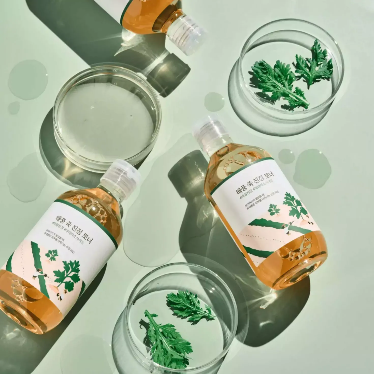 Round LabMugwort Calming Toner 300 ml