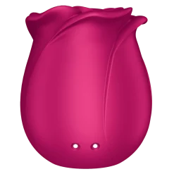 Satisfyer Pro 2 Modern Blossom Modern Blossom