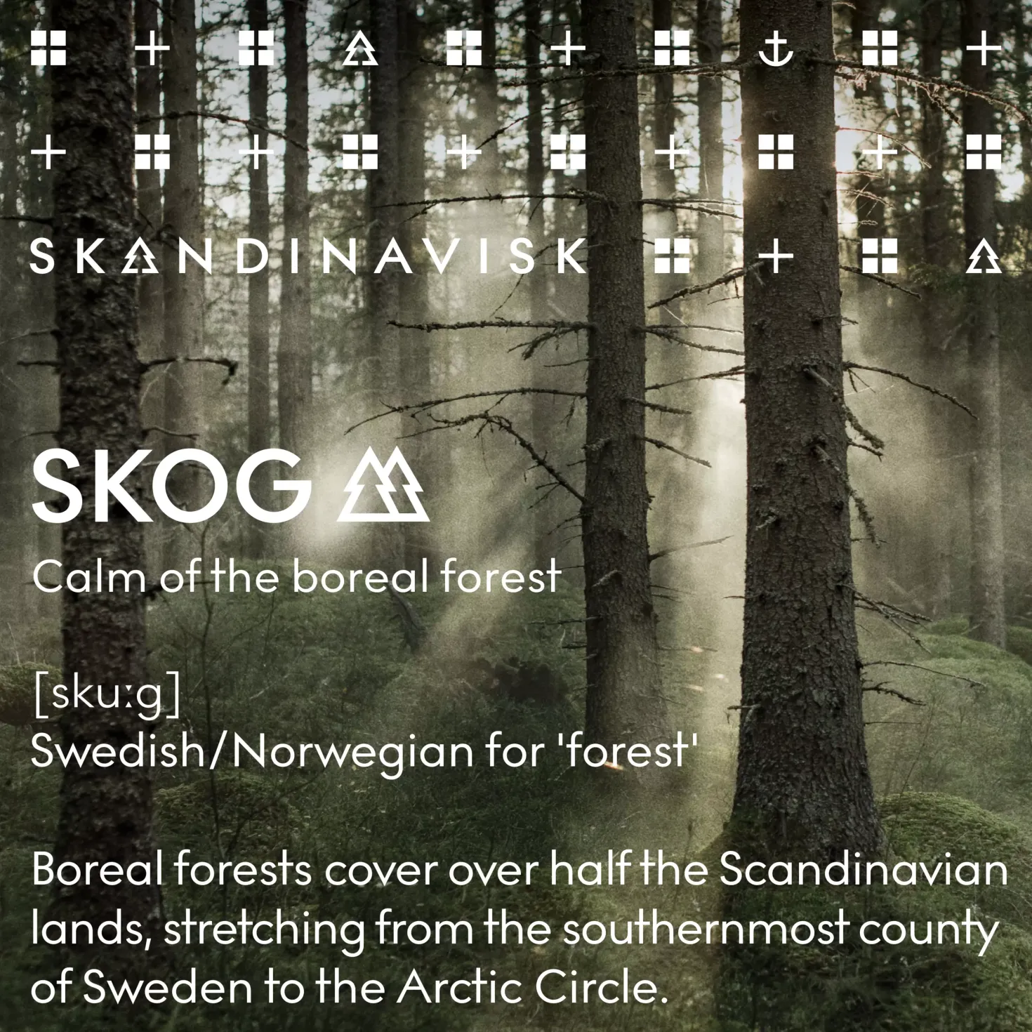 SkandinaviskSKOG Home Collection Scented Candle 200 g