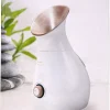 STYLPRO 4 In 1 Facial Steamer
