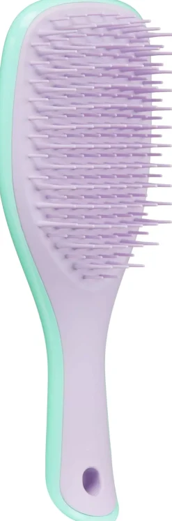 Tangle TeezerThe Wet Detangler Mini