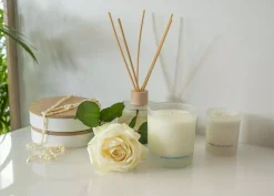 WashologiDesire Soy Wax Candle 300 ml